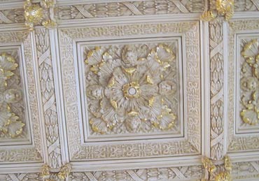 Ornamental Ceiling
